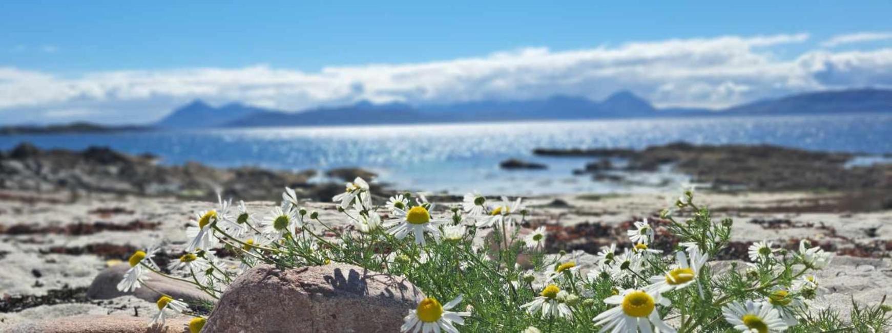 Applecross B&B Exteriér fotografie